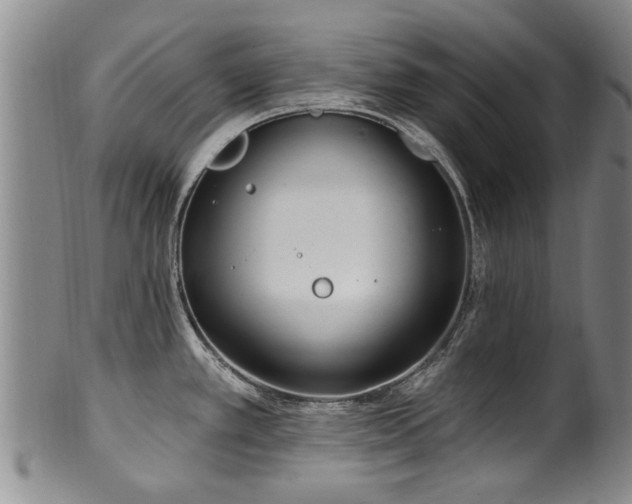 X0000100361389200806061127