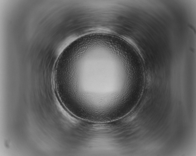 X0000100361391200806061127