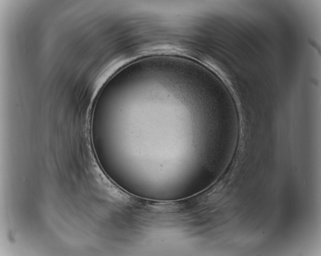X0000100361392200806061127