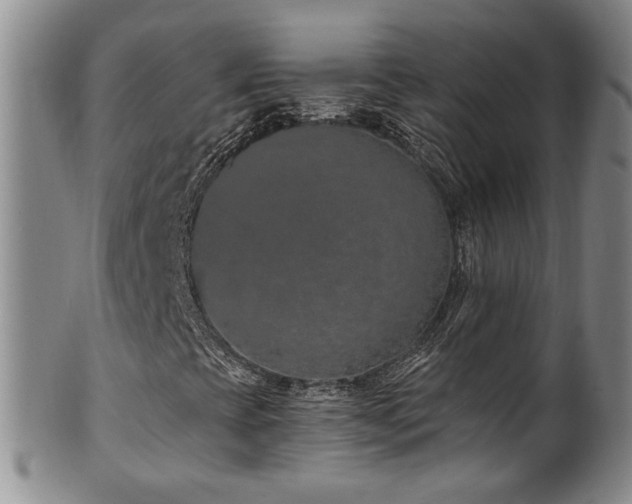 X0000100361393200806061126
