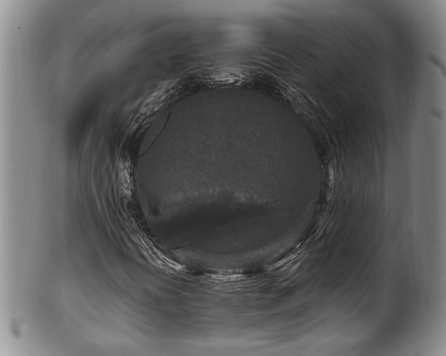 X0000100361394200806061126
