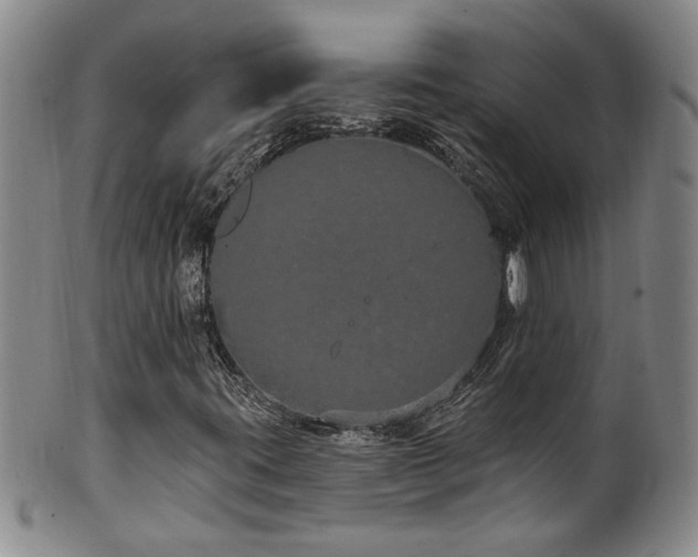 X0000100361395200806061126