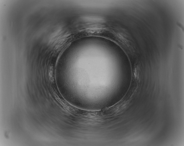 X0000100361396200806061126