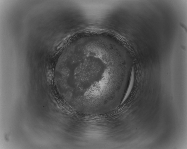 X0000100361397200806061126