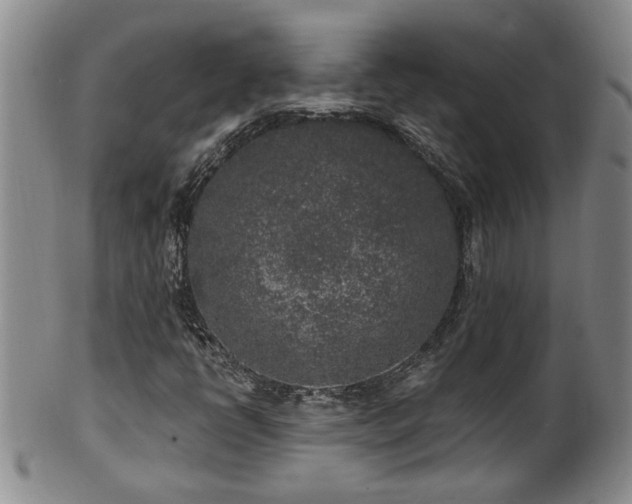 X0000100361398200806061127