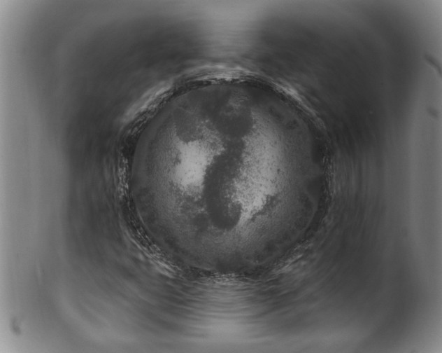 X0000100361399200806061127