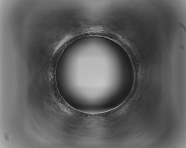 X0000100361400200806061127