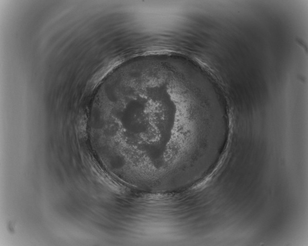 X0000100361401200806061127