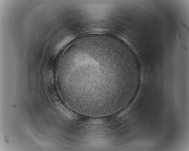 X0000100361402200806061127