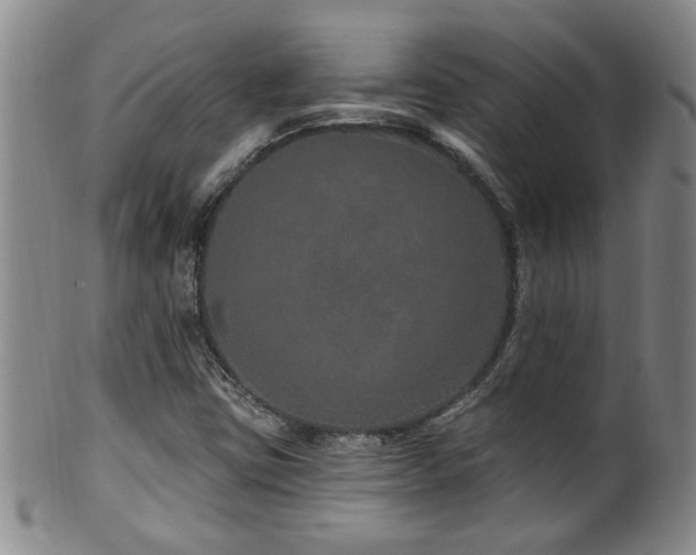 X0000100361403200806061127