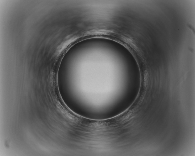 X0000100361404200806061127