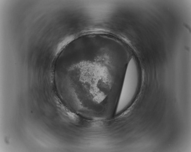 X0000100361405200806061127