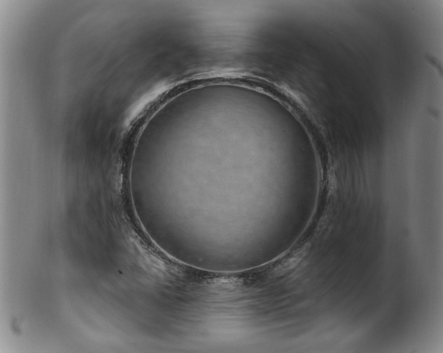 X0000100361406200806061127
