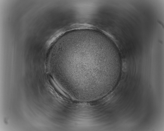 X0000100361407200806061127