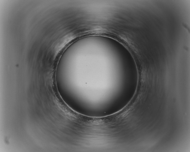 X0000100361410200806061127