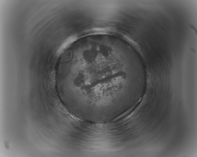 X0000100361411200806061127