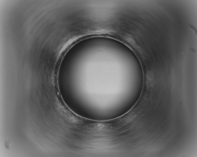 X0000100361412200806061127