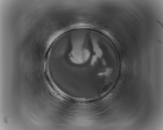 X0000100361413200806061127