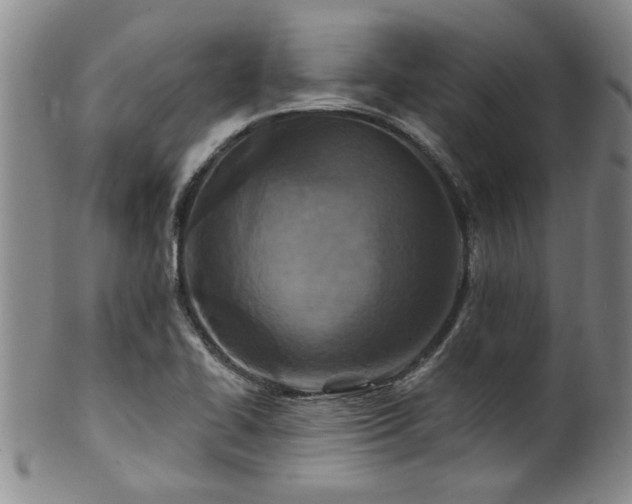 X0000100361414200806061127