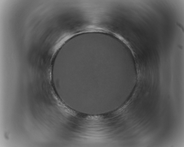 X0000100361415200806061127