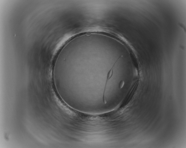 X0000100361416200806061127