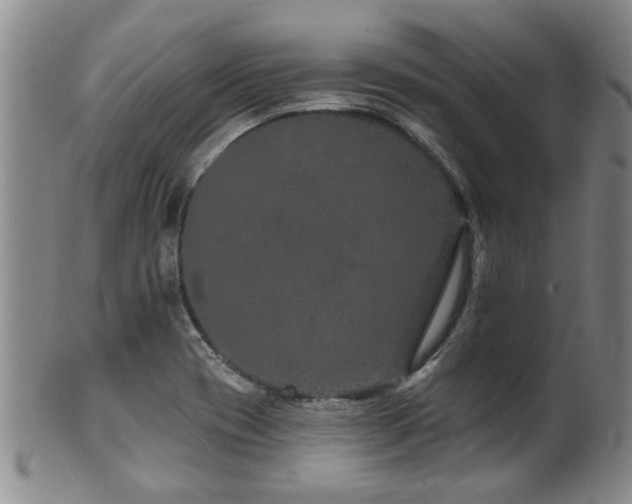 X0000100361417200806061127