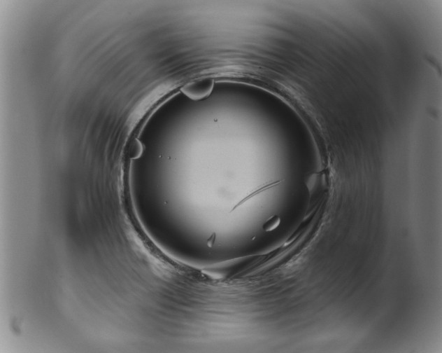 X0000100361418200806061127