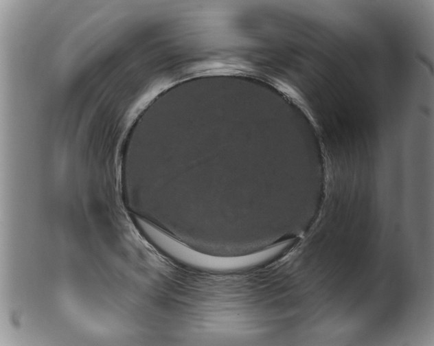 X0000100361419200806061127