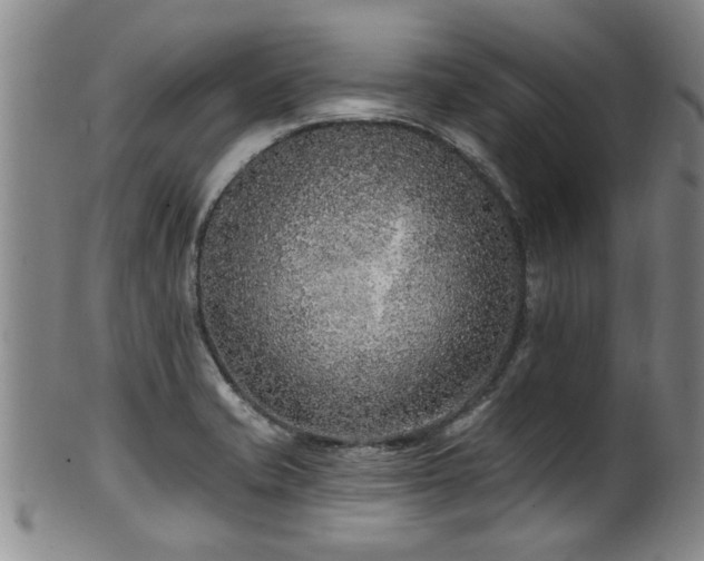 X0000100361421200806061127
