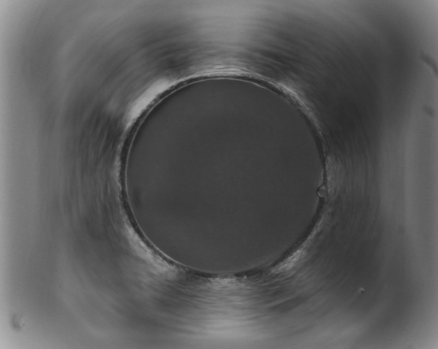 X0000100361422200806061127