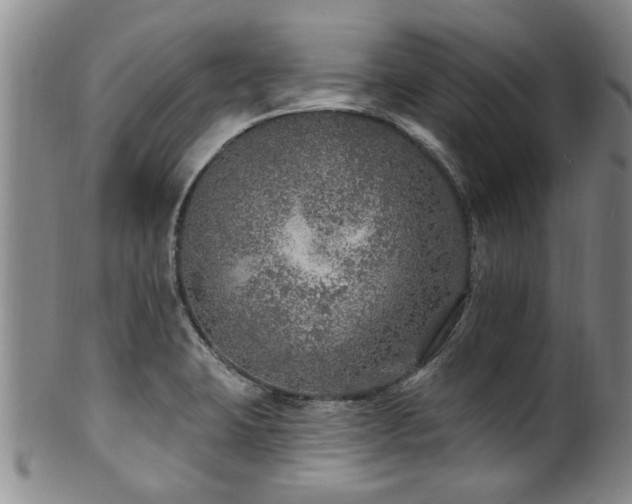 X0000100361423200806061127