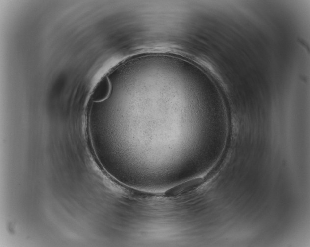 X0000100361424200806061127