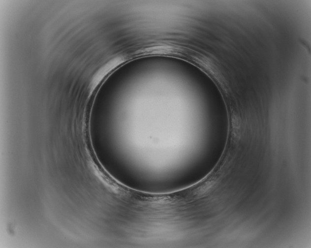X0000100361426200806061127