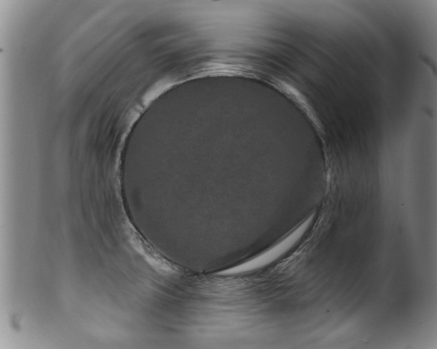 X0000100361427200806061127