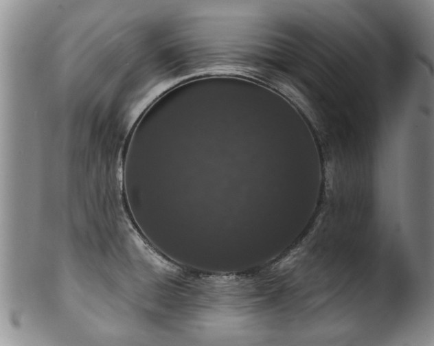X0000100361428200806061127