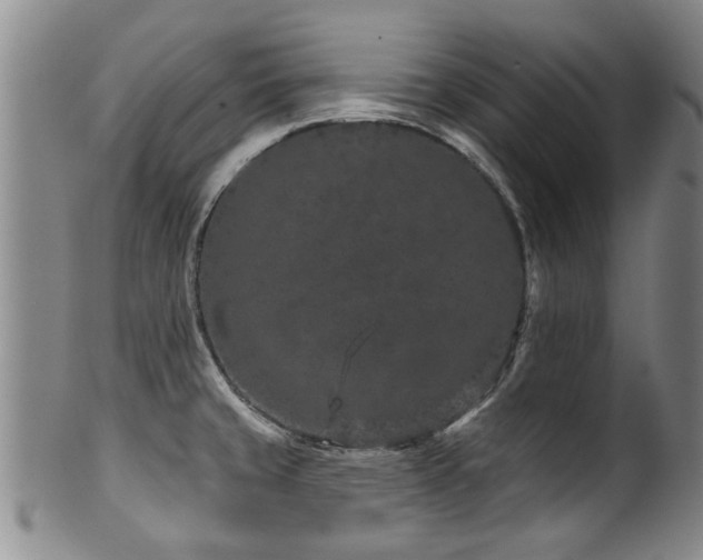 X0000100361429200806061127