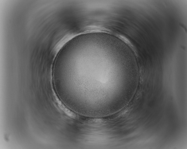 X0000100361431200806061127