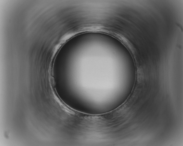 X0000100361432200806061127
