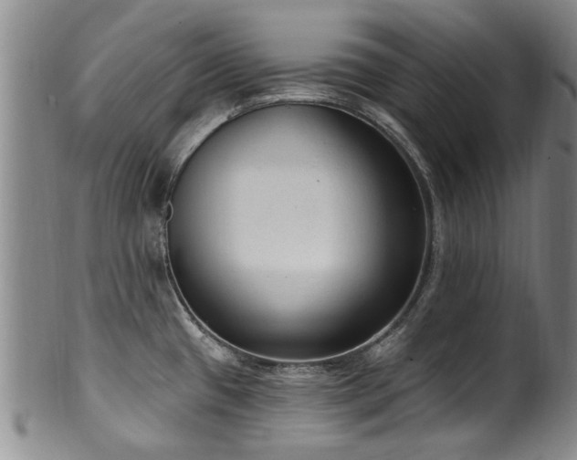 X0000100361433200806061127