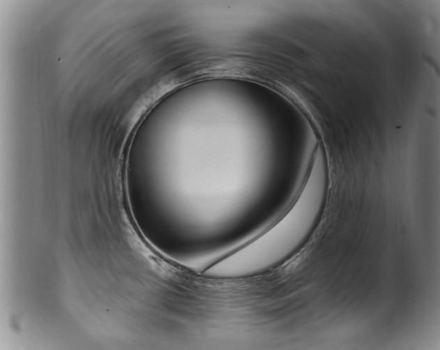 X0000100361434200806061127