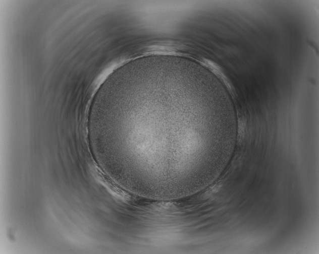 X0000100361435200806061127