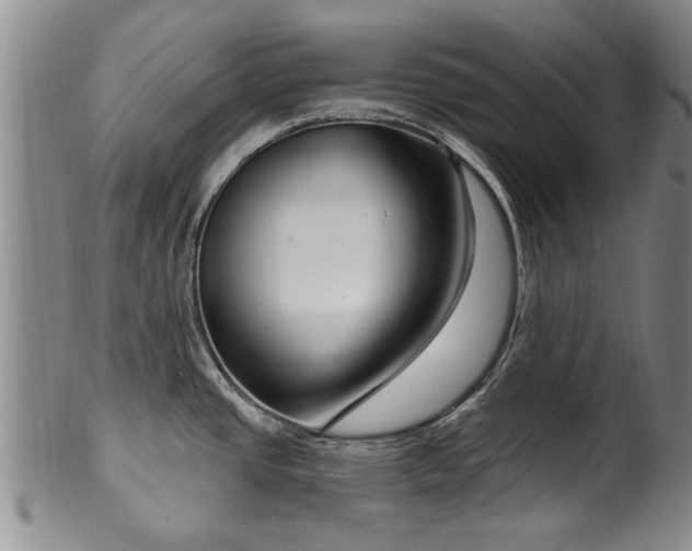 X0000100361437200806061127