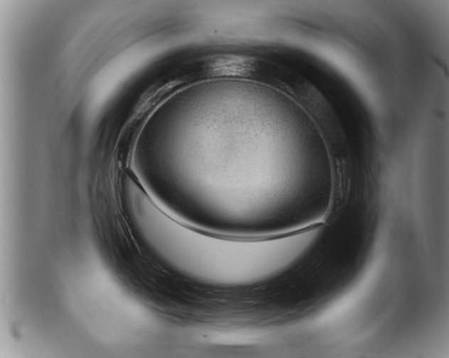 X0000100361438200806061127