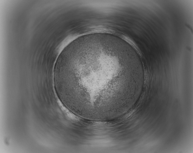 X0000100361439200806061127