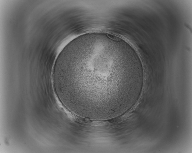X0000100361440200806061127
