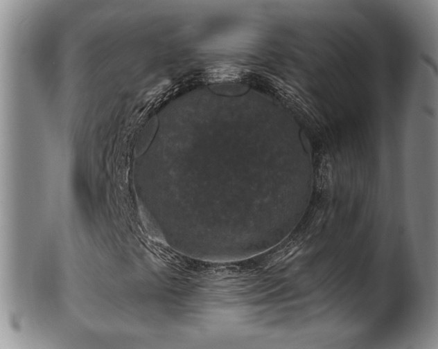 X0000100361441200806061126