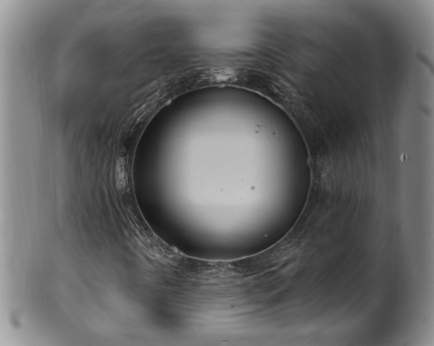 X0000100361442200806061126