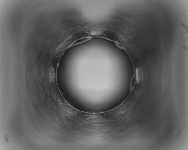 X0000100361443200806061126