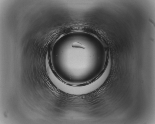 X0000100361444200806061126