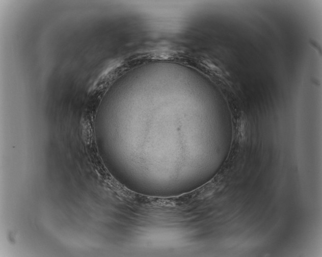 X0000100361446200806061126